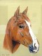 05 - Chestnut Mare - Wendy Britton